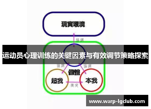 运动员心理训练的关键因素与有效调节策略探索